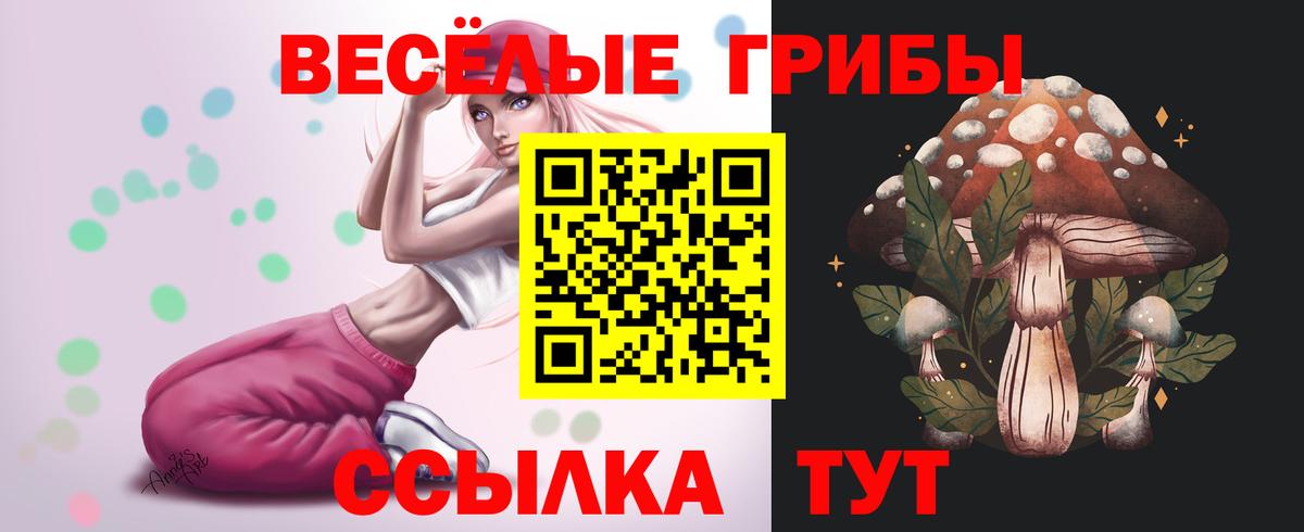 Галлюциногенные грибы мухоморы  Вход с VPN  Галлюциногенные грибы Psilocybine cubensis  Зеленокумск 